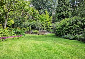 Optimiser l'expérience du jardin à Saint-Remy-en-Bouzemont-Saint-Genest-et-Isson
